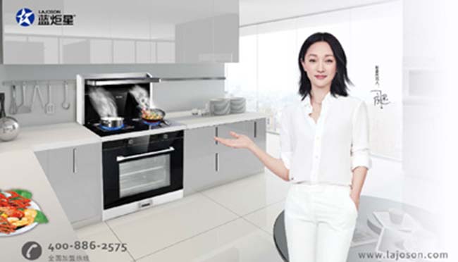 集成灶加盟好嗎,這是藝術的裝飾 集成灶加盟
