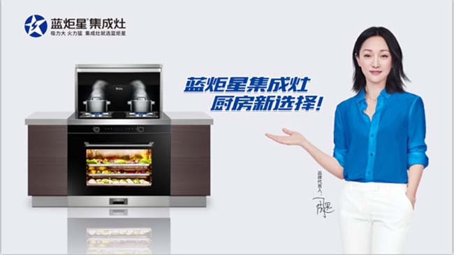 集成灶加盟,高檔集成灶廠家 集成灶加盟