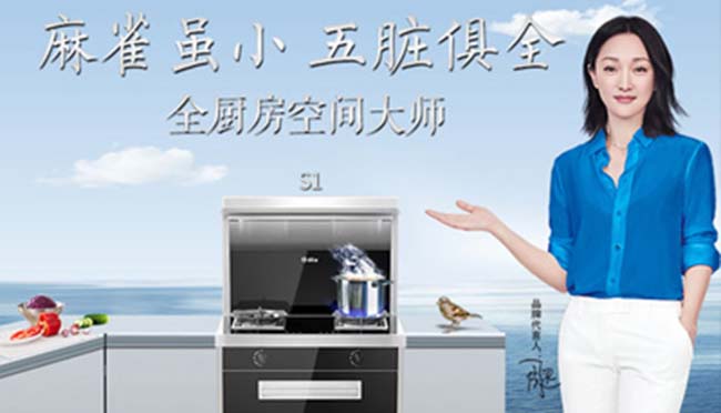 分體式集成灶加盟,讓家居更美好 集成灶加盟