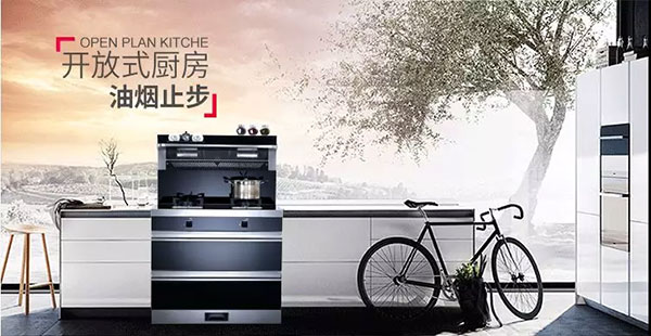 藍炬星D5集成灶