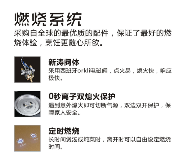 藍炬星集成灶燃燒系統